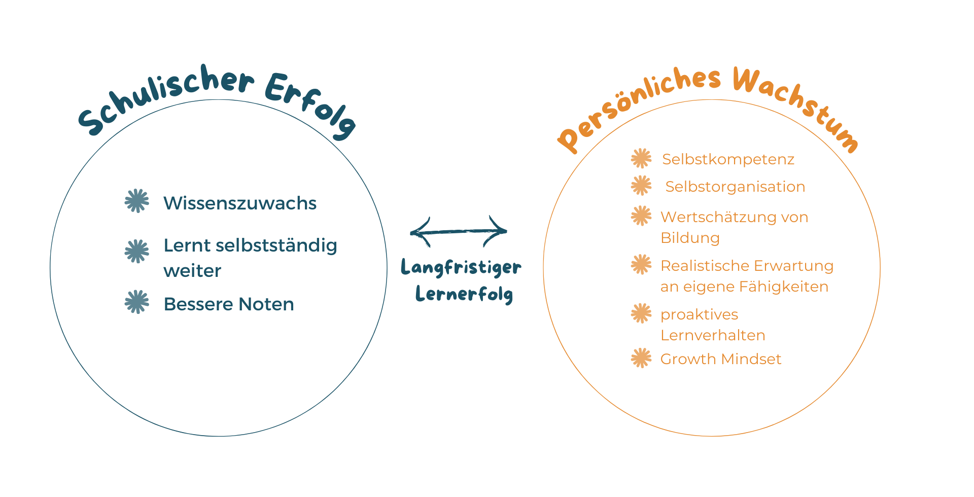 Wirkmodell (3)